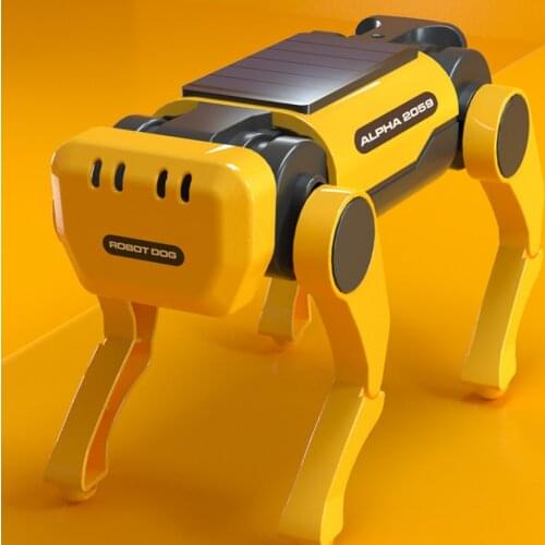 CHUYUN Interactive Toys