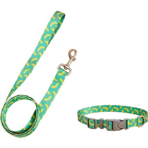 Dog Collar and Leash Set，Colorful Patterns,Adjustable Nylon Collar and and Matching Leash for Small Medium Large Dogs