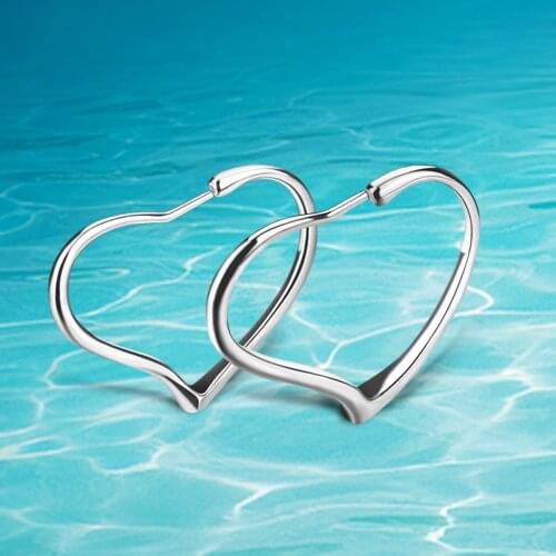 European and American wind 925 silver color decoration earrings Women love solid silver process earrings classical style earring