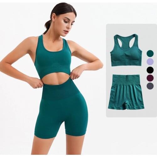 2Pcs Women Gym Set Fitness Tight Yoga Shorts Suit Seamless Sports Bra High Waist Biker Shorts Workout Outfit Set Fitness Wear