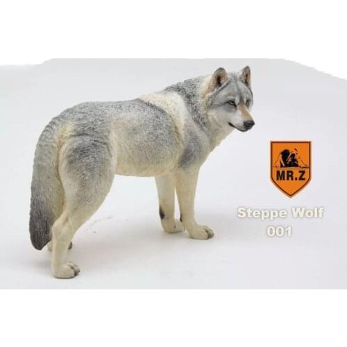 Mr.Z 18.5CM Prairie Wolf Simulation PVC Animal Model Wild Dog Mount Kids Adult Toys Home Car Decoration Indoor Desktop Display