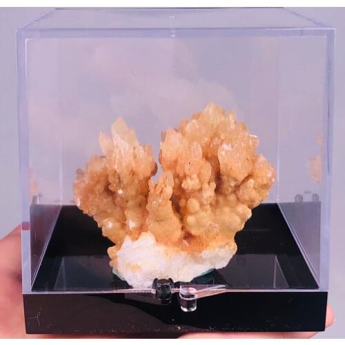 100% Natural Calcite coral mineral crystal specimens stones healing