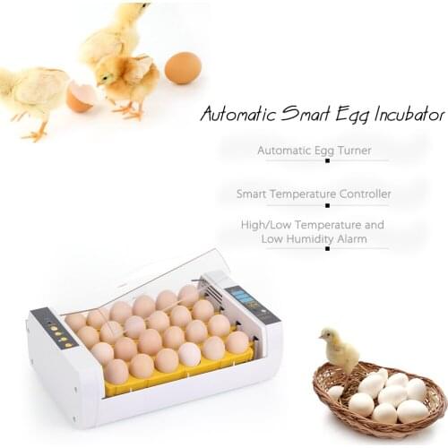 24-Eggs Intelligent Automatic Egg Incubator Temperature Control Hatcher for Hatching Chicken Duck Bird Quail Poultry AC110-220V