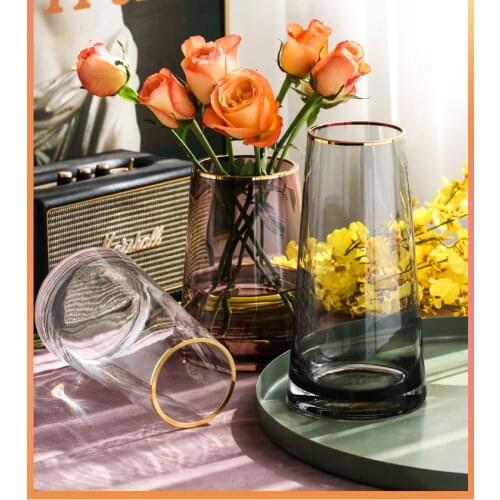 Transparent Glass Vase Living Room Flower Arrangement Home Decoration Hydroponics Nordic Golden Stroke Creative Simple Vase