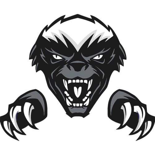 New Removable & Reusable Stickers For Car Ferocious Honey Badger Home Car Stickers and Decals Body Window Door Car Accessories