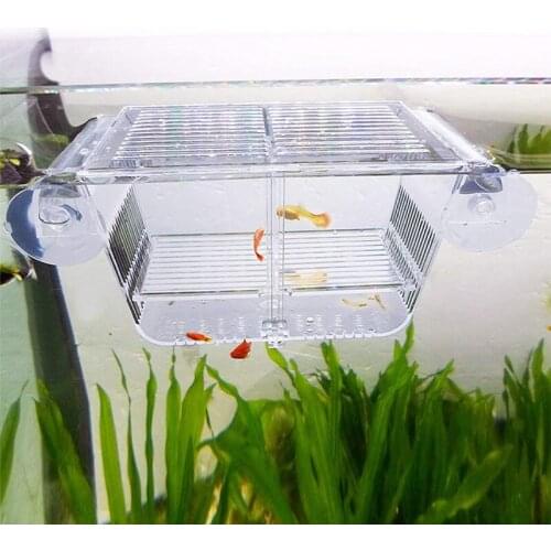 Aquarium Fishes Breeding Box Double Guppies Hatching Incubator Isolation Box Acrylic Wall Mounted Fish Tank peseras para peses