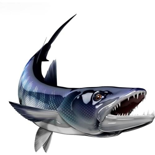 Beautiful Barracuda Fish Fishing Car Stickers Auto Decals 3D Styling Motorcycle Decal Accessories