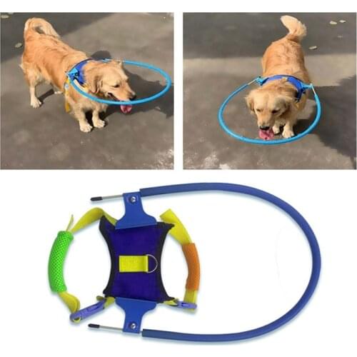 Halo Harness For Blind Dogs Soft Protective Vest Ring For Dogs Prevent Collide Wall Pet Training Supplies New