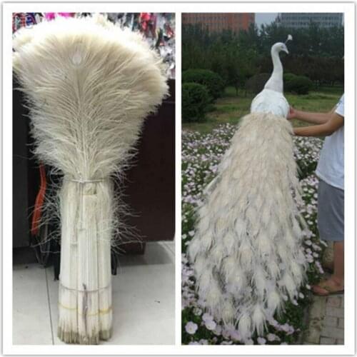 Wholesale 50pcs beautiful white peacock feather eye 70-80cm / 28-32inch decorative celebration stage performance diy