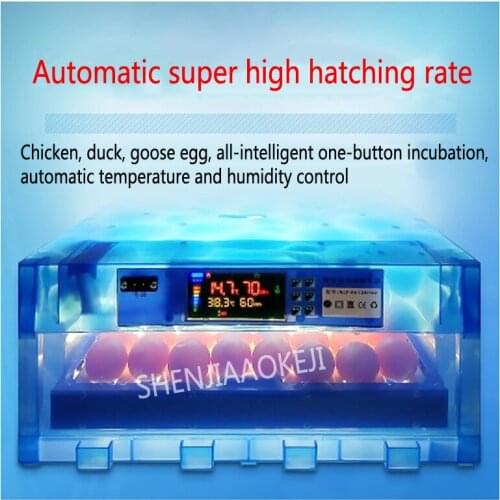 Miniature chick incubator 80W 64 pieces Automatic incubator Household small incubator Multi-functional hatching egg 1pc