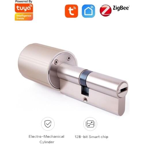 Electric Locks LEING FST China