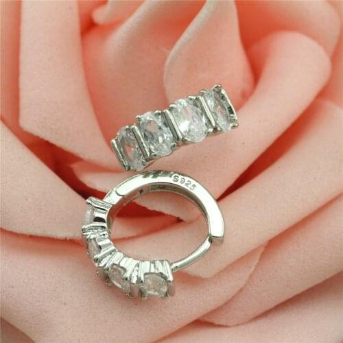 2017 vintage jewelry, 925 sterling silver with zircon bearings modern garden beautiful earrings for female charm earrings