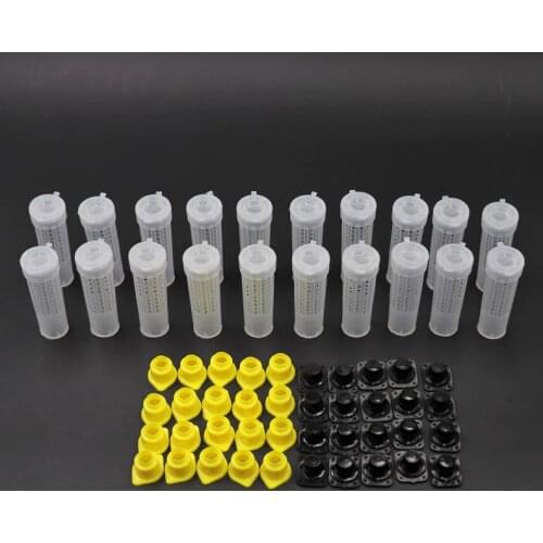 50 PCS Beekeeping Tools Queen Cell Cages Plastic Cages Rearing Cupkit Box King Bees Tools Equipment Base Apicultura Accesorios