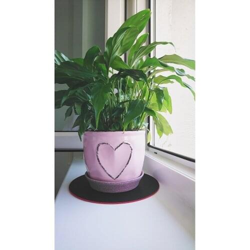 Декорум в доме Planter Pots