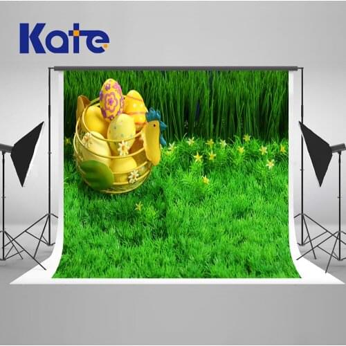 VinylBDS Easter Green Screen Photography Backdrops Eggs Green Grass Backgrounds for Photo Studio Camera Fotografica