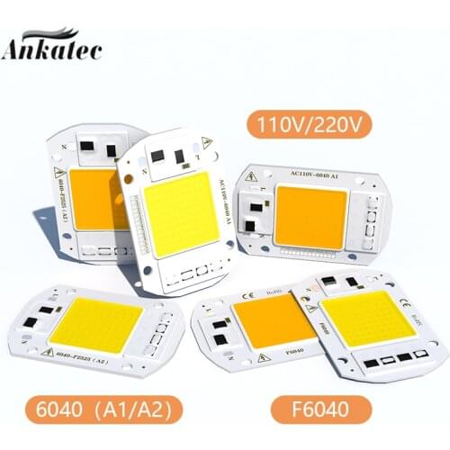 AC110V 220V LED COB Lamp Chip 10W 20W 30W 50W Smart IC LED Beads DIY For LED Floodlight Spotlight COB Chip Warm White Cold White