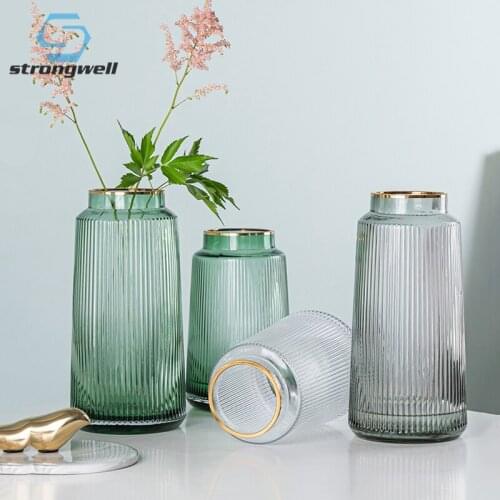 Strongwell Modern Transparent Glass Vase Hydroponics With Gold Rim Home Office Decoration Flower Arrangement Container Ornament