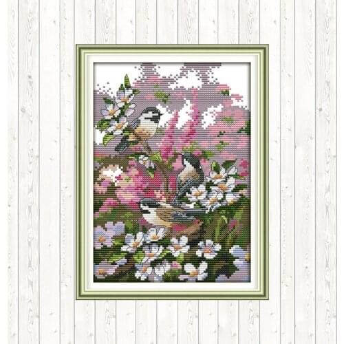 Three Birds Cross Stitch Kits Sets aida Fabric 14ct 11ct Print on Canvas DMC Cotton Thread DIY handmade needlework Home Decor