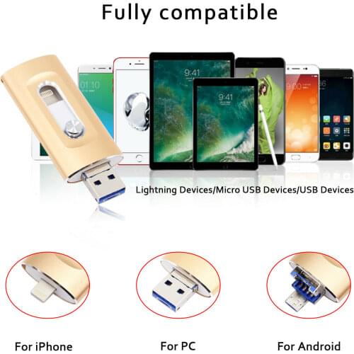 USB Flash Drive 256GB Pendrive 128GB Flash Disk Memory OTG USB Stick Key 64GB 16GB Cle USB Drive For iOS iPhone iPad Android PC