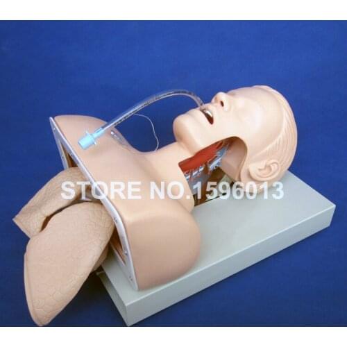 Deluxe Endotracheal Intubation Trainer, Airway Intubation Training Model, Tracheal Intubation Manikin