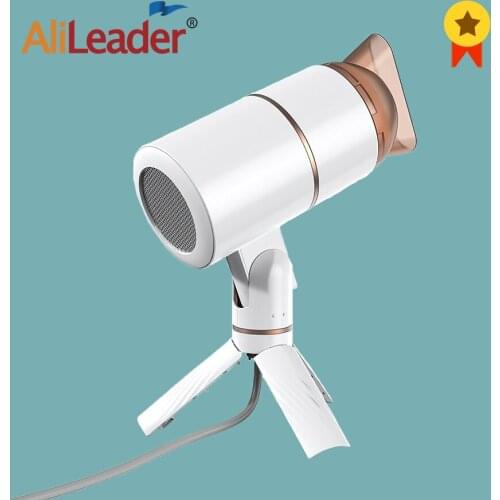 Alileader Foldable 1000W Professional Electric Hair Dryer Strong Heating And Cooling Wind Anion Hammer Blower Salon Household