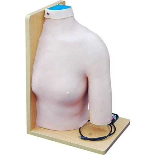 Medical Simulator Series Shoulder Joint Intracavitary Injection Model for teaching