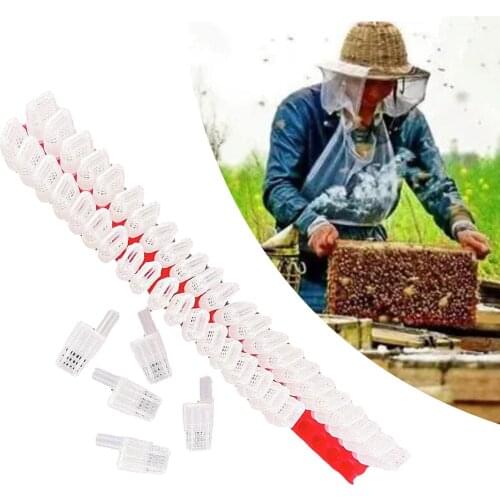 46Pcs Plastic Queen Bee Moving Rearing Box Trap Cage Catcher with Transportation Strip Beekeeping Beekeeper Equipment Tool