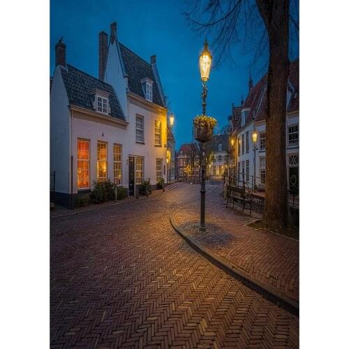 Buildings Street Lamp Night View Photo Background Vinyl Cloth Backdrop for Portrait Children Baby Photobooth Photography Props