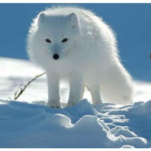 Raw Material Price Increase, Make Up The Price Difference Link