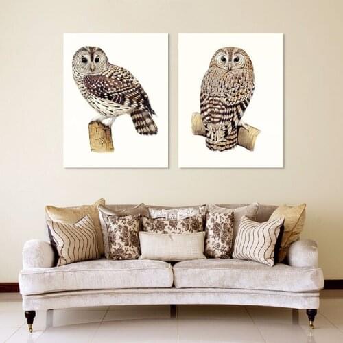 Animal owl 2pcs/set decoration birds wall art picture nighthawk brown Canvas Painting for children kids living room unframed