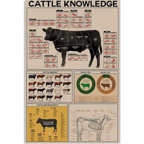 Cattle Knowledge Metal Tin Sign Breed Information Poster Animal Farm Anatomy Club School Educational Wall Decoration Plaque