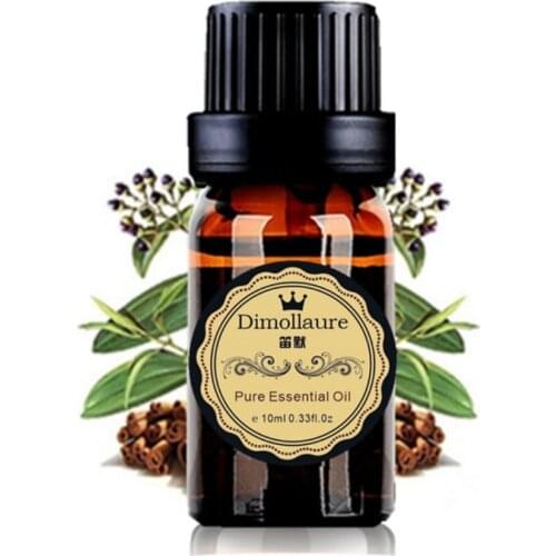Dimollaure Essential Oils Of Cinnamon