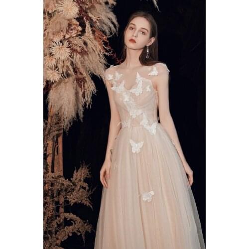 100% real butterfly embroidery light champagne luxury ball gown medieval dress Renaissance gown queen Victorian Belle Ball gown