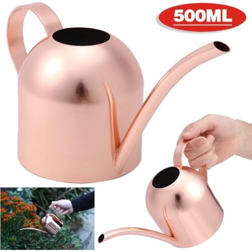 500ml Stainless Steel Indoor Small Watering Can Pot Flower Plants Shower For Garden Supplies