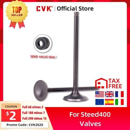 CVK 3PCS/sets Intake Exhaust Valves with Oil Seal For HONDA Steed400 Steed600 Steed Big Ant VTR VTR250 Motorcycle Accessories