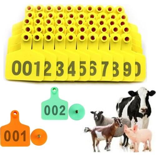 100 Sets Livestock Cow Cattle Ear Tag Signs TPU With Word Ear Tags Typing Copper Head Earrings Farm Animal Identification Card