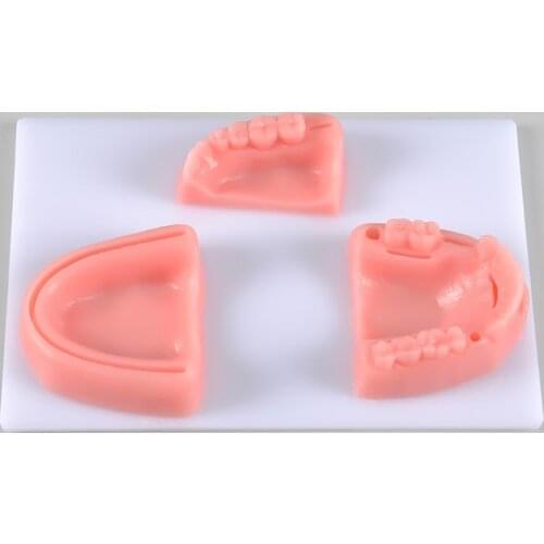 Oral suture training module gum suture periodontal suture practice model