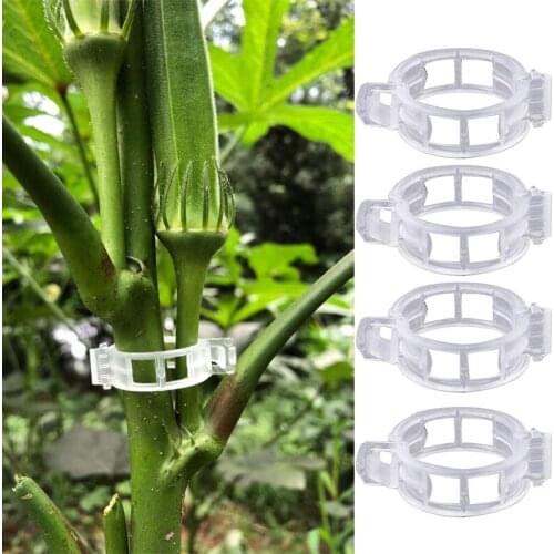50Pcs Plastic Plant Vine Clip Supports Connects Reusable Protection Grafting Fixing Tool Greenhouse Vegetables Garden Ornament