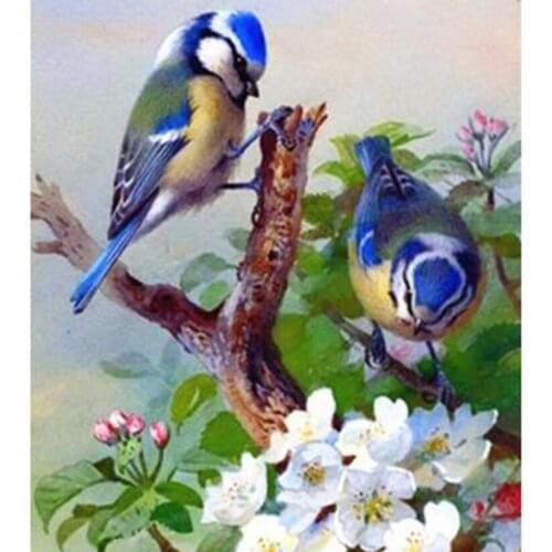 5D DIY Diamond Painting Square Round Diamond Bird Picture Cross Stitch Embroidery Handmade Gift Home Decoration WG2751
