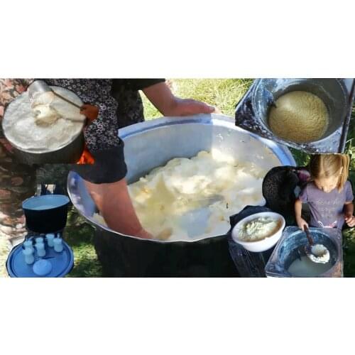 Diğer Yoghurt Makers