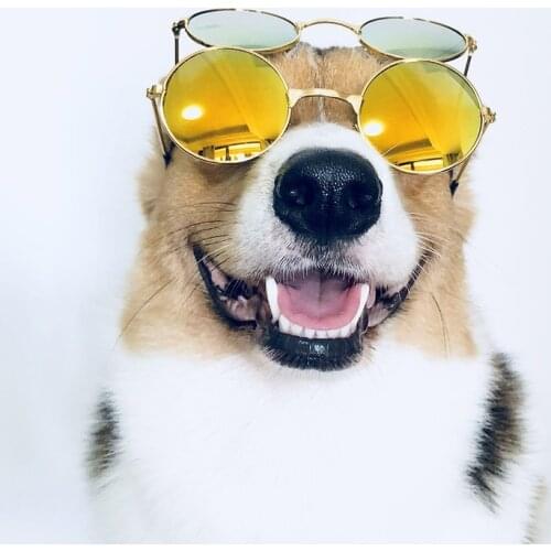 Medium Large Dog Glasses Fashion Eye-wear Accessories Christmas Pet Cats Photos Sunglasses Props For Supplies Grooming