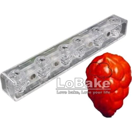 2 halves 6 cavities 25.4*3.5*3cm 3D creative grape fruit praline shape magnetic Polycarbonate chocolate candy popsicle mould