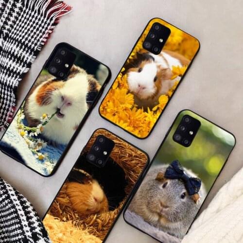 Guinea Pig Phone Case For Samsung A50 A51 A71 A20E A20S S10 S20 S21 S30 Plus ultra 5G M11