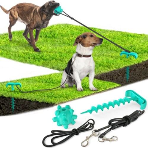 Outdoor Dog Toy Traction Rope Ground Pile Ground Nail Pet Chew Toy Cleaning Dog Toothbrush Molar Stick Toothbrush Pet Supplies
