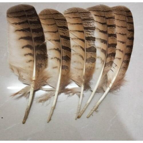 Free shipping wholesale high quality 50pcs owl eagle feather 10-12inches/25-30cm various decorative diy collect
