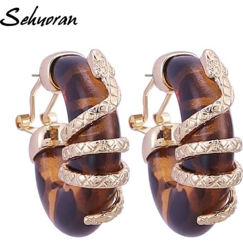 Sehuoran Snake Stud Earring For Women Tiger Brown Fashion Personality Earrings Brinco Bohemia Jewelry Christmas Gifts