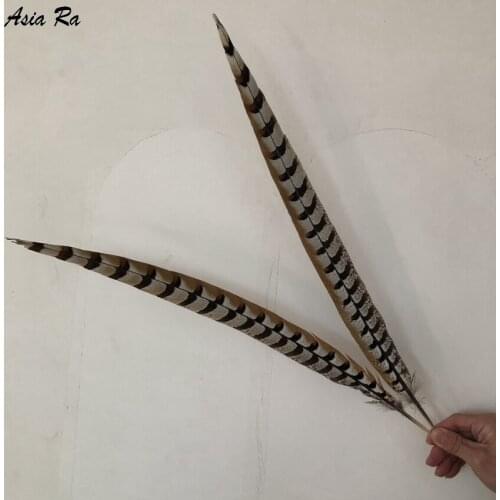 Wholesale 10PC/Lot Reeves Venery Pheasant Tail Feathers 70-75CM Feather for Crafts DIY Jewelrys Making Decorations Plumes Plumas