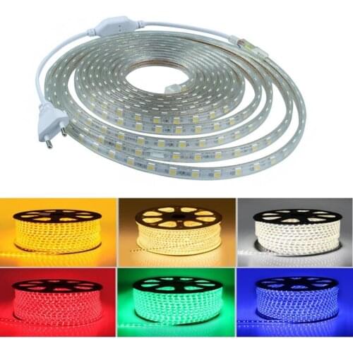 LED Strip SMD 5050 AC220V Waterproof Flexible light Ribbon Tape 220V lamp Outdoor String 60LEDs/M For Christma holiday