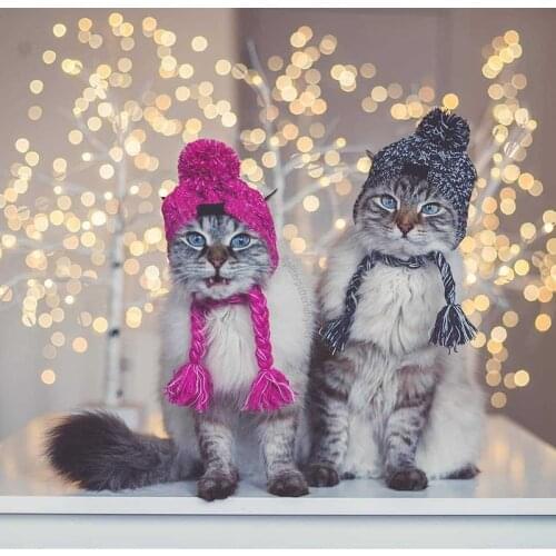 Swokii Hats For Dogs