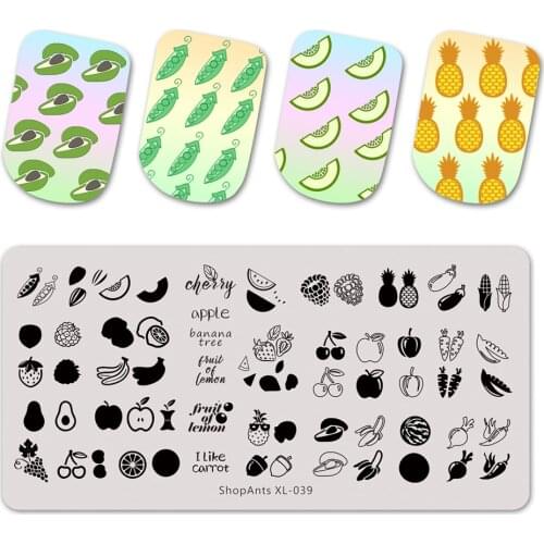 6*12cm Nail Stamping Plates Fruits Pictures Stencil Stainless Steel Design for Printing Nail Art Image Plate XL-039